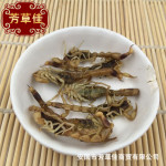 批发中药材全蝎 全虫 蝎子 各种规格 产地直销 量大从优