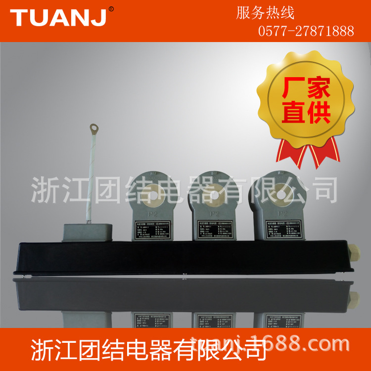 厂家直销LMZW-0.5电流互感器（防窃电型)