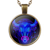 Zodiac signs, necklace, pendant, accessory, wish, Amazon, European style, with gem