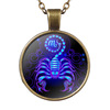 Zodiac signs, necklace, pendant, accessory, wish, Amazon, European style, with gem