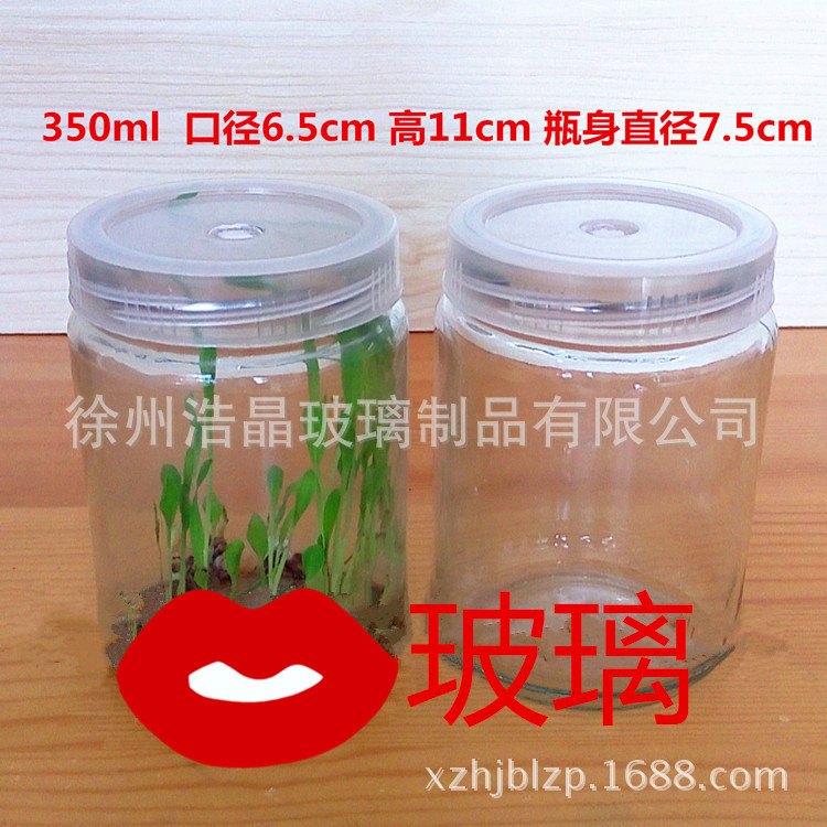 350毫升透气玻璃菌瓶组培瓶 食用菌玻璃育苗菌种瓶子兰花菌瓶