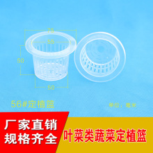 ˮ�ඨֲ�@�Ӻ�56̖�߲˻��ܘ�֬ˮ���o������̸����Nֲ������