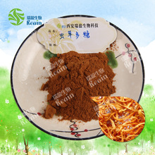蛹虫草提取物 虫草多糖30%  子实体/菌丝体 库存现货 西安瑞盈