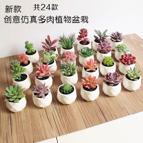 Artificial Flower Succulent Terrarium Creative Shelf Decor, Factory Direct Amazon Artificial Flowers, One-Time Order Plant