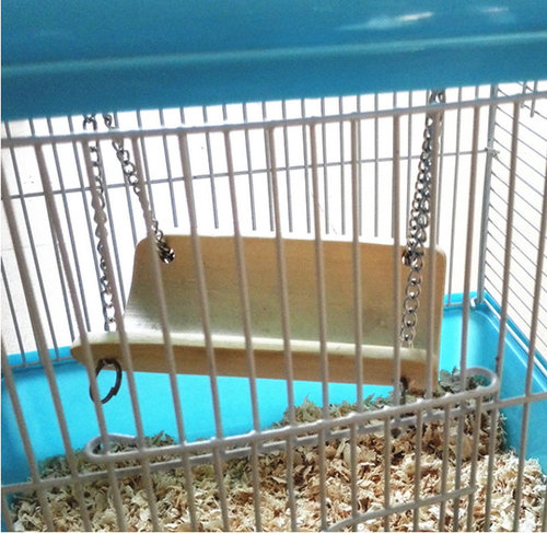 Small Pet Bamboo Swing Squirrel Swing Golden Bear Pet Swing Hamster Supplies Hamster Toy Hamster Bamboo Swing