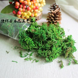 植物工艺品;木质工艺品;花盆容器