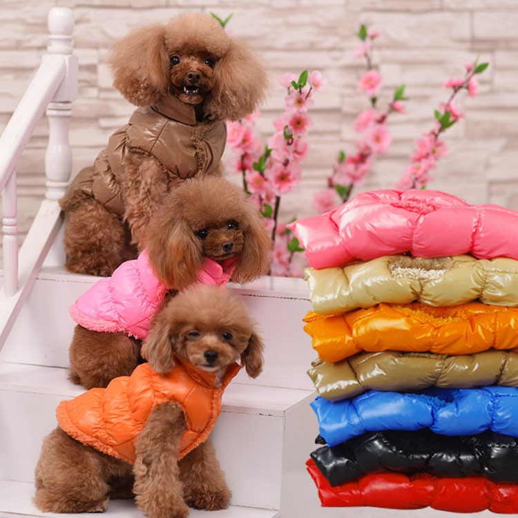 Warm winter puppy Teddy clothes pet vest padded cat clothes cross-border wholesale autumn and winter dog clothes