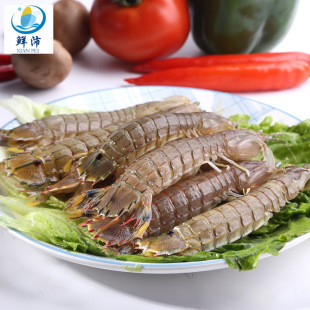 Ұ��ƤƤ�r�r������400g����r�����l�|���r�r�������r�خa�ͶY