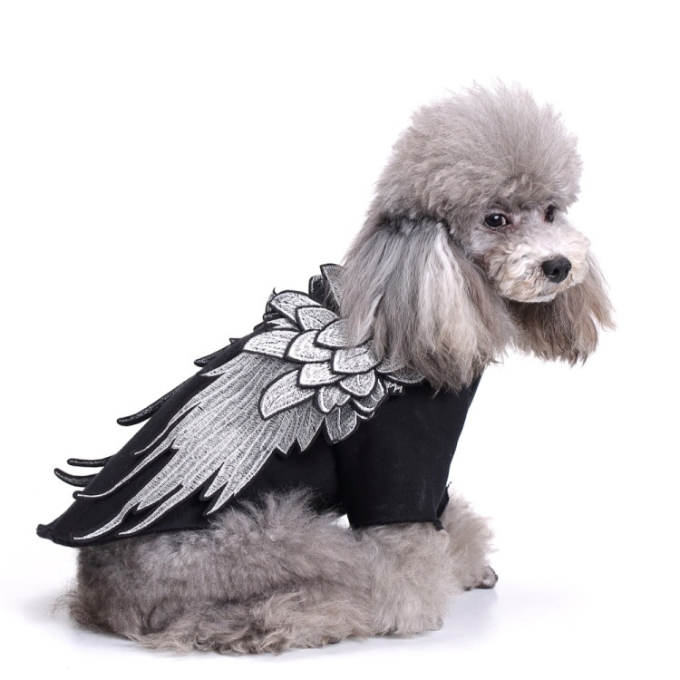 Cross-Border Hot-Selling Pet Dog Clothes, Cute and Cool Warm Clothes with Wings, Teddy French Bulldog Casual Dog Spring & Fall Clothes