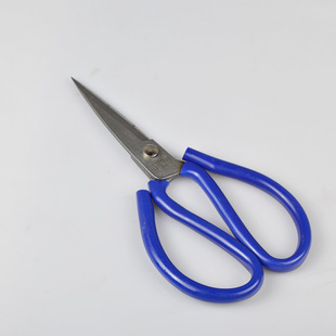 ���ü��� ���ü���  ���ܱ�̼� ���P�N������ �N���� ����