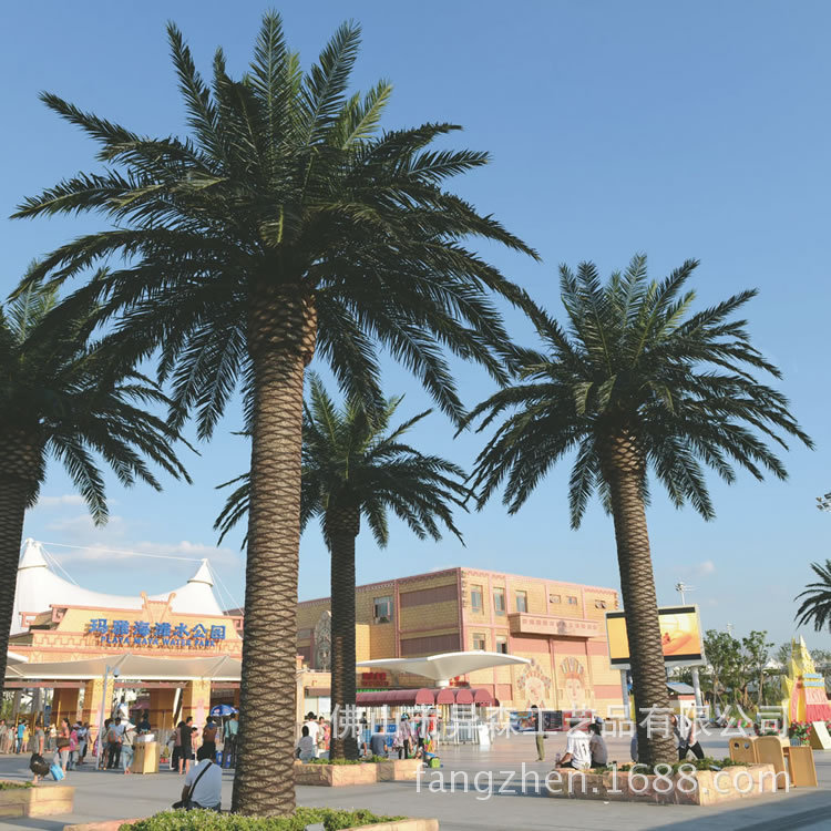 工程定制仿真海枣树棕榈树椰子树公园人造大型景观树室外街道造景