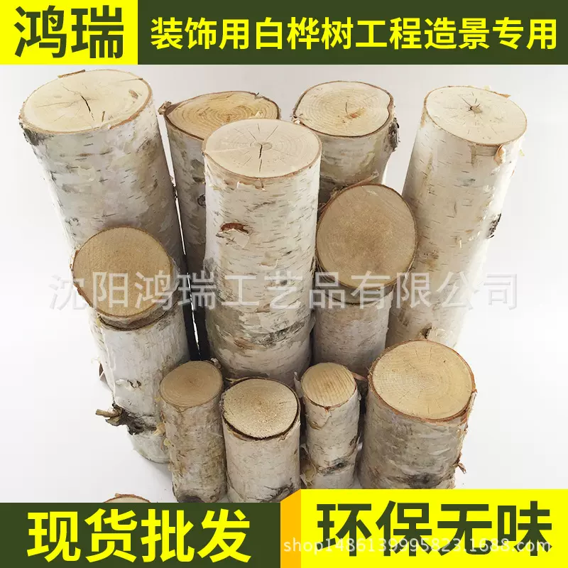 桦木段雕刻木木段小花盆植物花盆东北小木段工艺品装饰摆件