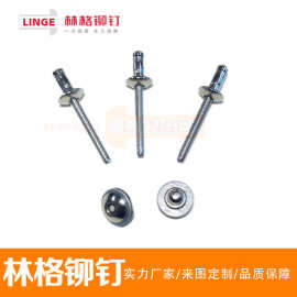 海马不锈钢铆钉 不锈钢铆钉 抽芯铆钉 铆钉厂家专业生产