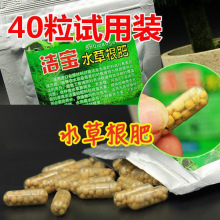 洁宝浓缩水草根肥袋装40粒试用装 底肥观赏鱼用非兽药鱼药