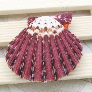 ֱ��4-5������Ȼɫ�p���ͮ���ؐ ���к���Ȼؐ�����ݘ˱���