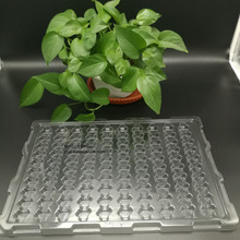 ɫoDбPӺPSσrܱPoбP