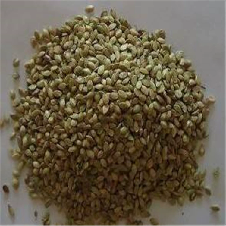 Баия семена кормовых трав Семена Баия семена газонов семена