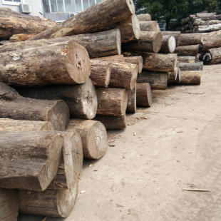 ���Ҹ�ľ�� ���� ̴��ľ �t���� ��z�ľ �r�񃞻�