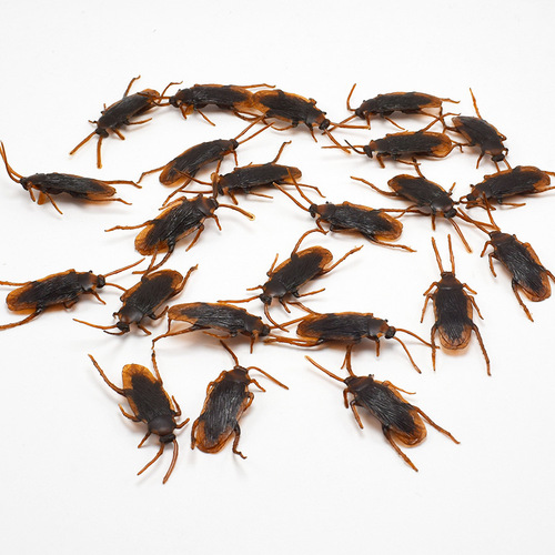 April Fool's Day Cockroach Xiaoqiang Tricky Funny Disgusting Scary Toy Prank Prop AliExpress Source