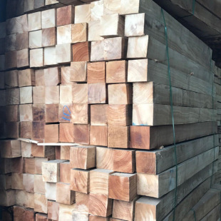 ̩���M�����zľ��Č�ľ��ķ��lľ���S�ҹ������lҎ���