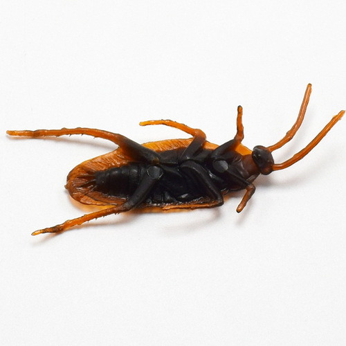 April Fool's Day Cockroach Xiaoqiang Tricky Funny Disgusting Scary Toy Prank Prop AliExpress Source