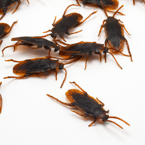 April Fool's Day Cockroach Xiaoqiang Tricky Funny Disgusting Scary Toy Prank Prop AliExpress Source