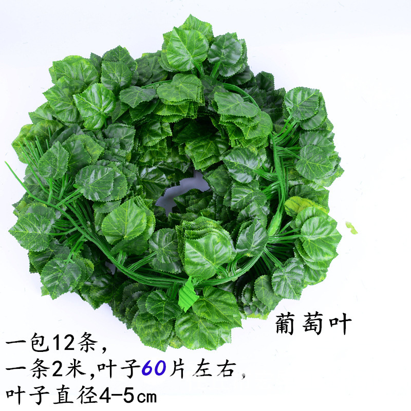 맛이없고 향기로운 포도 잎 스트립 60 개 (12 스트립)