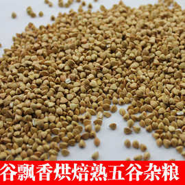低温烘焙五谷杂粮 熟荞麦米 磨粉 现磨豆浆 原料 批发