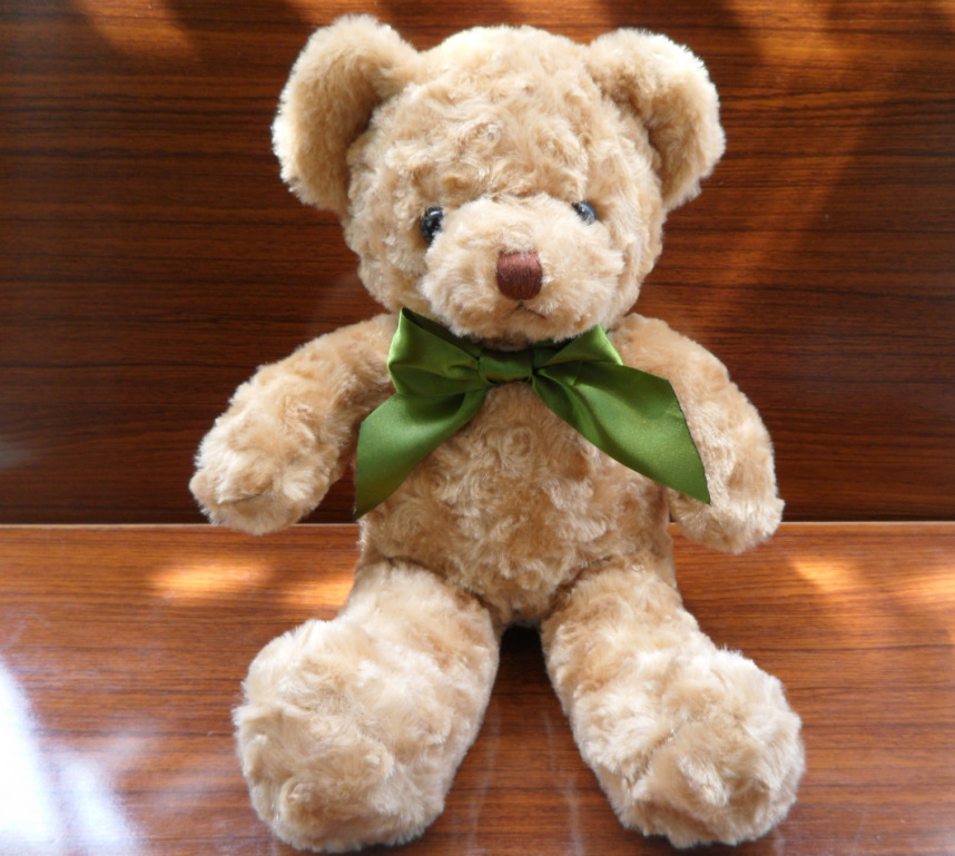 Nuevo corto felpa grabación luminosa pareja oso juguete de peluche oso muñeca Regalo de Cumpleaños Tmall firma