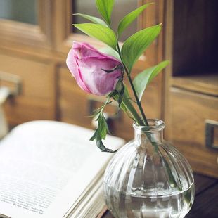 zakka�Ϲ��S�ƿˮ���������� ľ��������ƿƯ��ƿ�͹ń���Ҿ�