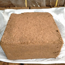 ���sҬ�� ��KҬ�u�N�������������ЙC���I�B������