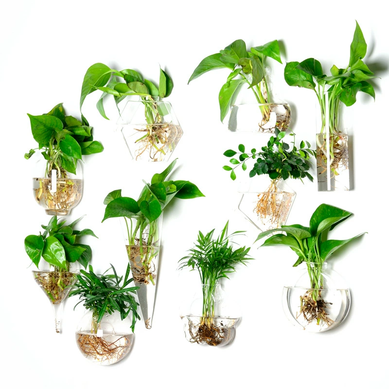 Креативные настенные подвесные гидропонные стеклянные вазы для украшения дома искусственные выдувные стеклянные поделки