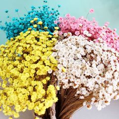 小さな星の花ゼリーの口紅の乾燥した花diyの口紅の乾燥した花の小さいデイジーの家の写真の道具は永遠の命を飾ります。