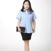 Blue, with short sleeve, V-neckline