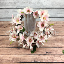 ���m���ٗl ���滨�������m����c�ҾӔzӰ����ܛ�b�b��ٗl