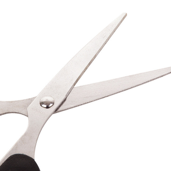 Scissors for students