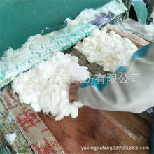 ��Ȼ�Q�O�Q�z��ԭ�����l �C�����Q�z��Ƭ �S���Ԯa ÿ�l�Q�z1X20