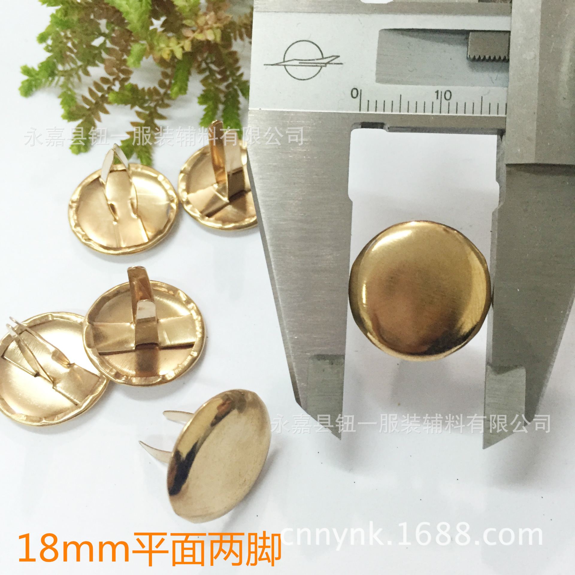 平面两脚钉 镜面效果电镀 大号两脚钉 底座圆形双脚安装