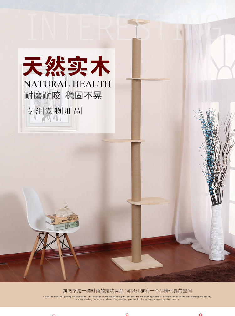 단단한 나무 직경 12