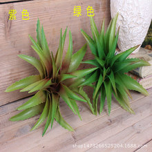 �������ֲ�� ����DIY�OӋ��Ʒ �廨��� ���滨�S�� ����ֲ��