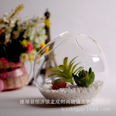 [双斜口玻璃花瓶微景观花瓶多肉植物造景瓶创意家装摆件工艺品批发]