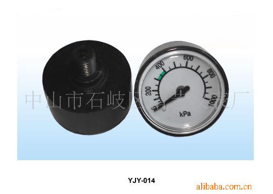 供应微型压力表迷你压力表机芯型微型压力表Y25厂家直销