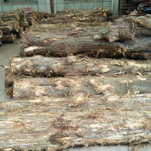 ���Ҹ�ԭľ���ľ�ڂ����SӲľ��ľ����ľ��ľ�r�񃞻�