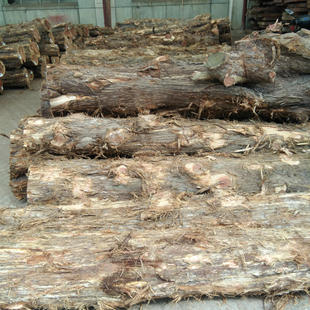 ���Ҹ�ԭľ ���ľ �ڂ��� �SӲľ ��ľ ��ľ �r�񃞻�