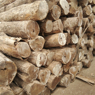 ���Ҹ�ԭľ�S��̴ī�������ľ����֦�F؛�r�񃞻�