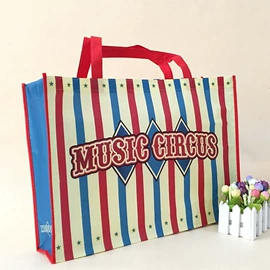 帆布袋;棉布袋;涤纶布袋