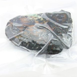 ��հ��b�������Ӱ���Ȼ���L���������Ӱ��YƷ