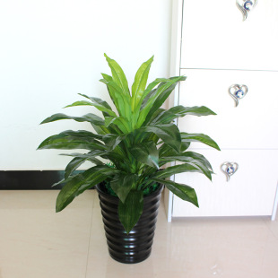 ���l��������F����ľ�����辰�Gֲ�@ˇ�b��҃ȿ͏d��ؾƵ�[��