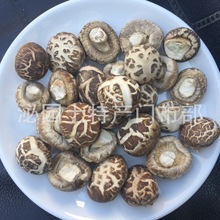 泌阳小花菇干货 香菇冬菇干货批发原产地发货500g
