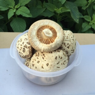 ��ꖻ�����؛���l���㹽�����a�ذl؛500g�ǖ|���خaһ�����l